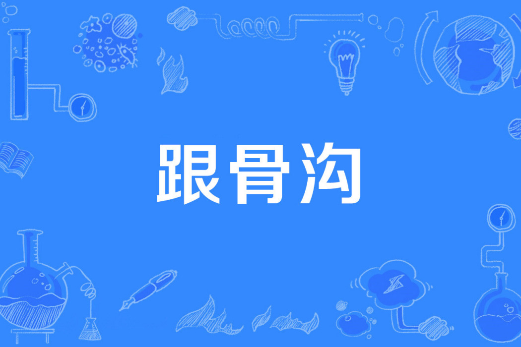 跟骨溝 跟骨溝