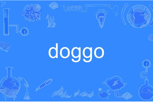 doggo doggo