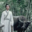 洪洗象(小說《雪中悍刀行》及其衍生作品的角色) 洪洗象(小說《雪中悍刀行》及其衍生作品的角色)