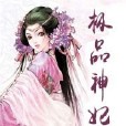 極品神妃 極品神妃