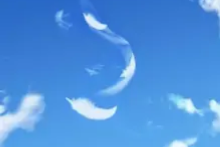 靈纏 靈纏