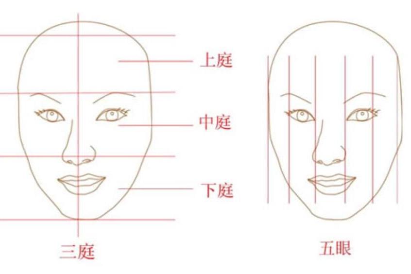 面部特徵 面部特徵