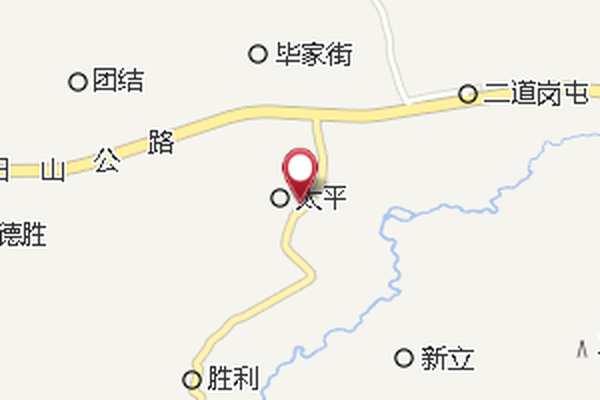 立新大隊 立新大隊