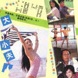 大小夫人 大小夫人