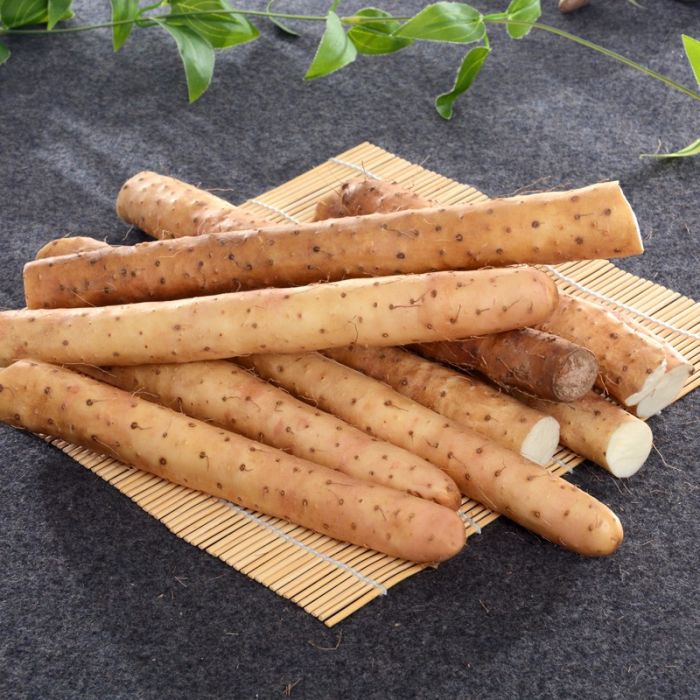 蠡縣麻山藥 蠡縣麻山藥