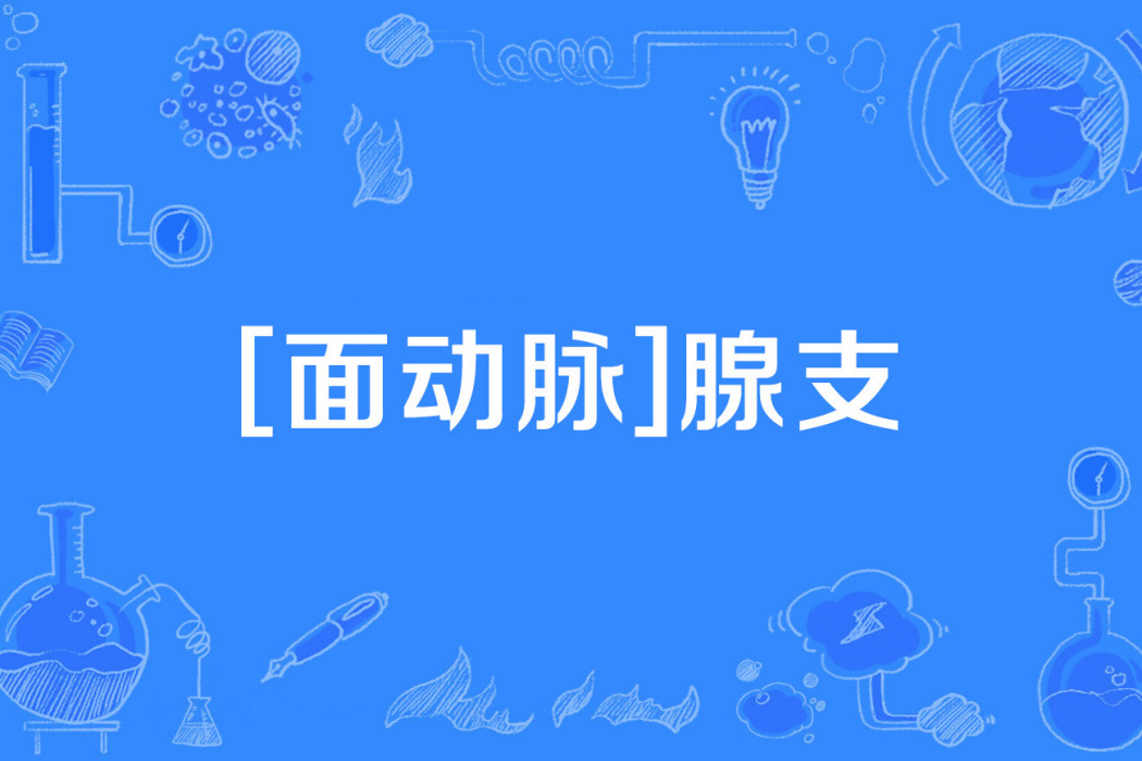 [面動脈]腺支