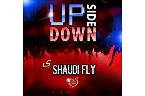 UPSIDE_DOWN_SHAUDI_FLY UPSIDE_DOWN_SHAUDI_FLY