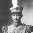 蔡鍔遺集 蔡鍔遺集