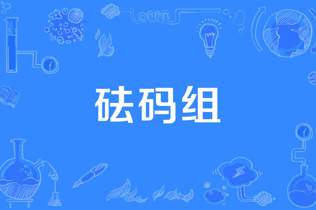 砝碼組 砝碼組