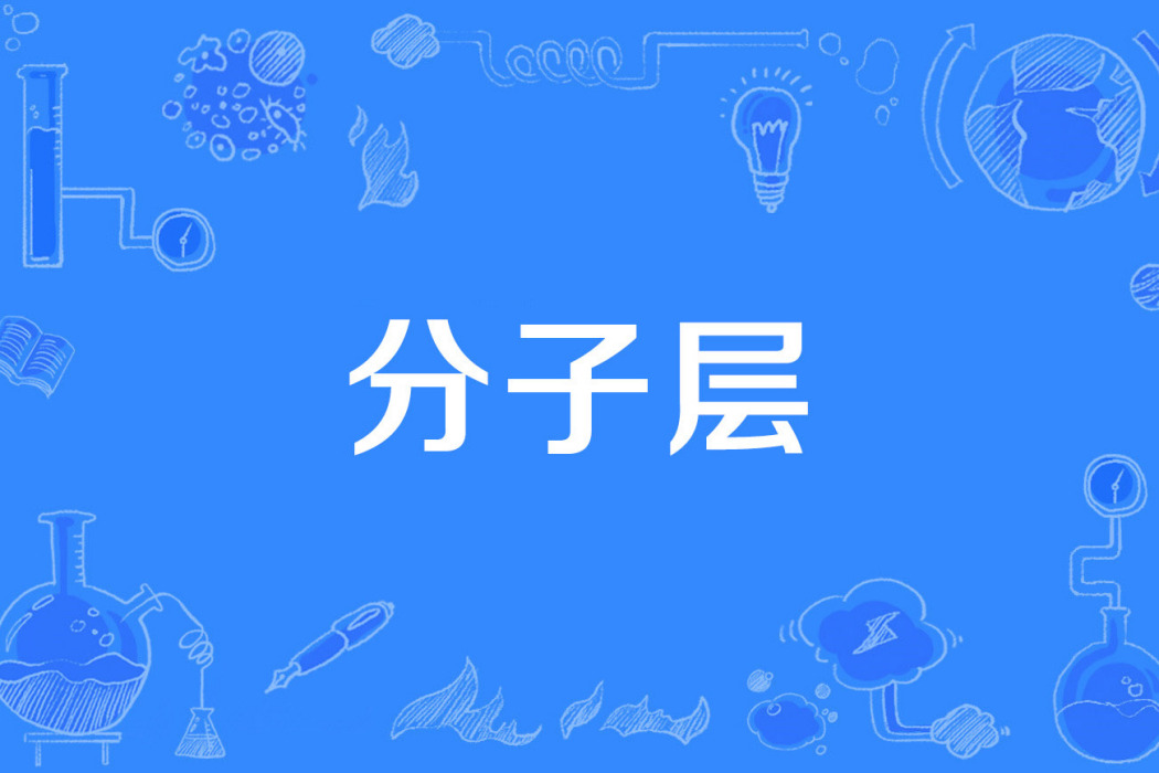 分子層 分子層