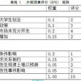 EFE矩陣 EFE矩陣