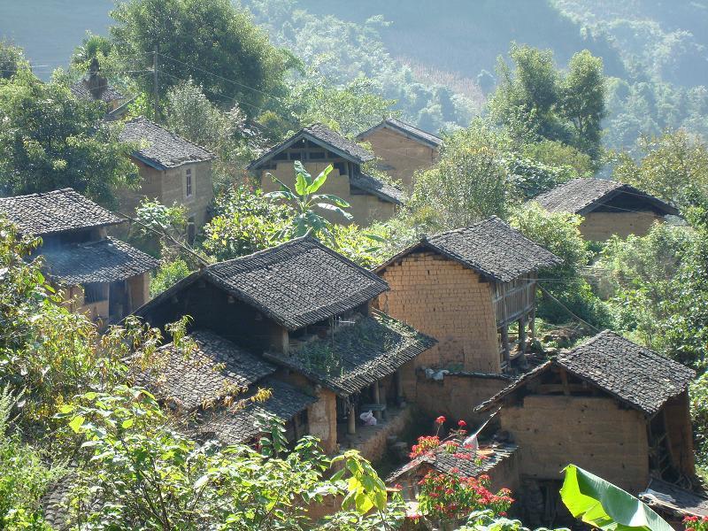 膠園村 膠園村