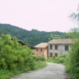 柏樹村(江西寧都縣肖田鄉下轄村) 柏樹村(江西寧都縣肖田鄉下轄村)