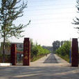 彩虹莊園 彩虹莊園