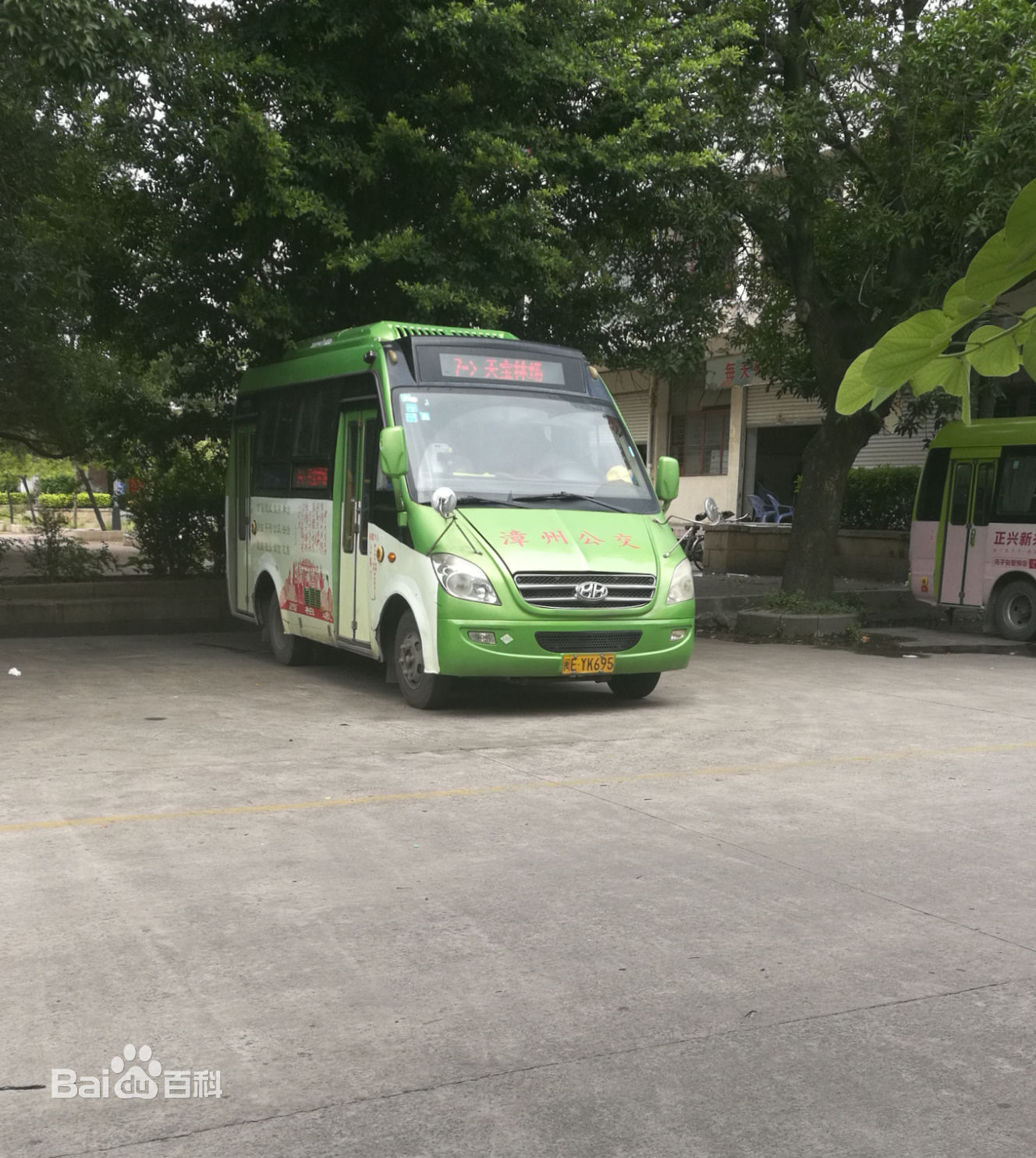 漳州公交7路車型