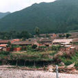西溝外村 西溝外村