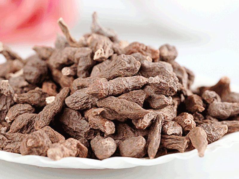 玉樹蕨麻 玉樹蕨麻
