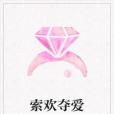 索歡奪愛 索歡奪愛