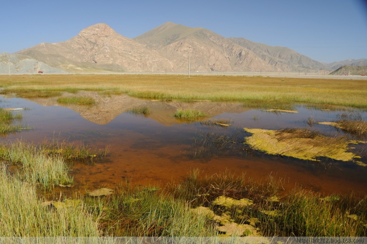 青海德令哈尕海國家濕地公園