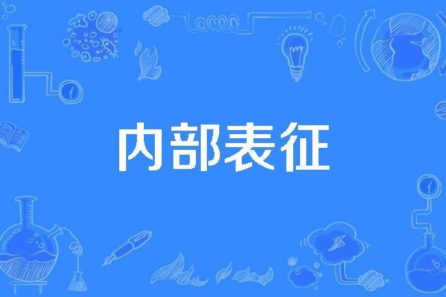 內部表征