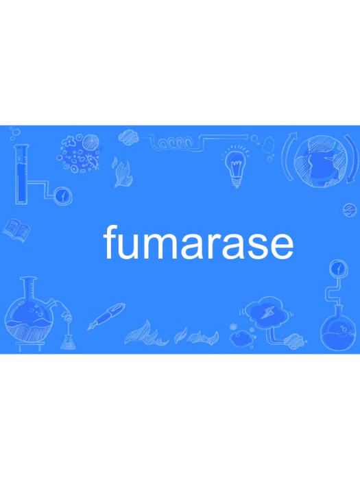 fumarase fumarase
