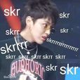 SKR(網路用語) SKR(網路用語)