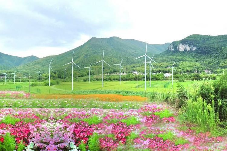 太極五色谷 太極五色谷
