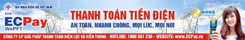 越南電力集團