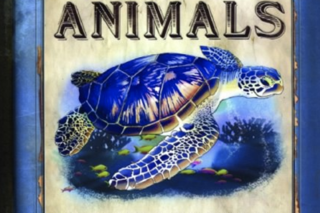 Ocean Animals Ocean Animals