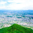 慶山市 慶山市