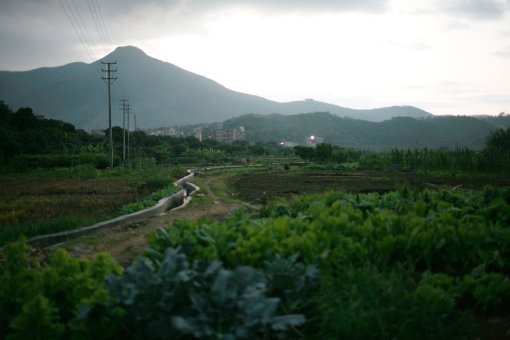 利扶坑村 利扶坑村