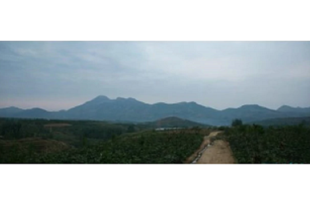 柿子峪村 柿子峪村