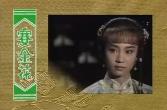 賽金花(1988年香港亞視劉雪華主演電視劇)