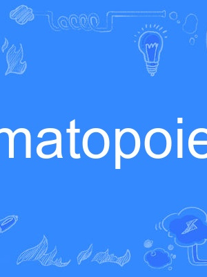 haematopoietic haematopoietic