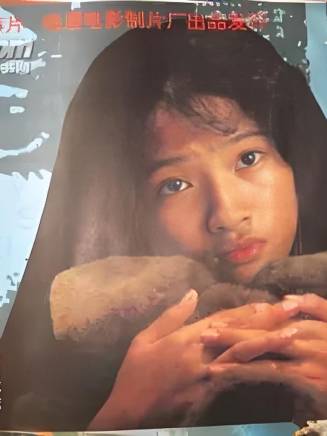 龔蓓苾 龔蓓苾