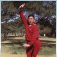 賈永安(北京市武協興武武術社社長) 賈永安(北京市武協興武武術社社長)