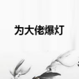 為大佬爆燈 為大佬爆燈