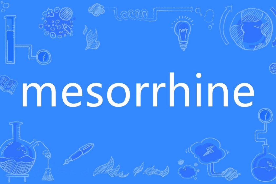 mesorrhine