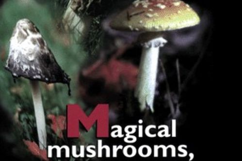 Magical Mushrooms, Mischievous Molds Magical Mushrooms, Mischievous Molds