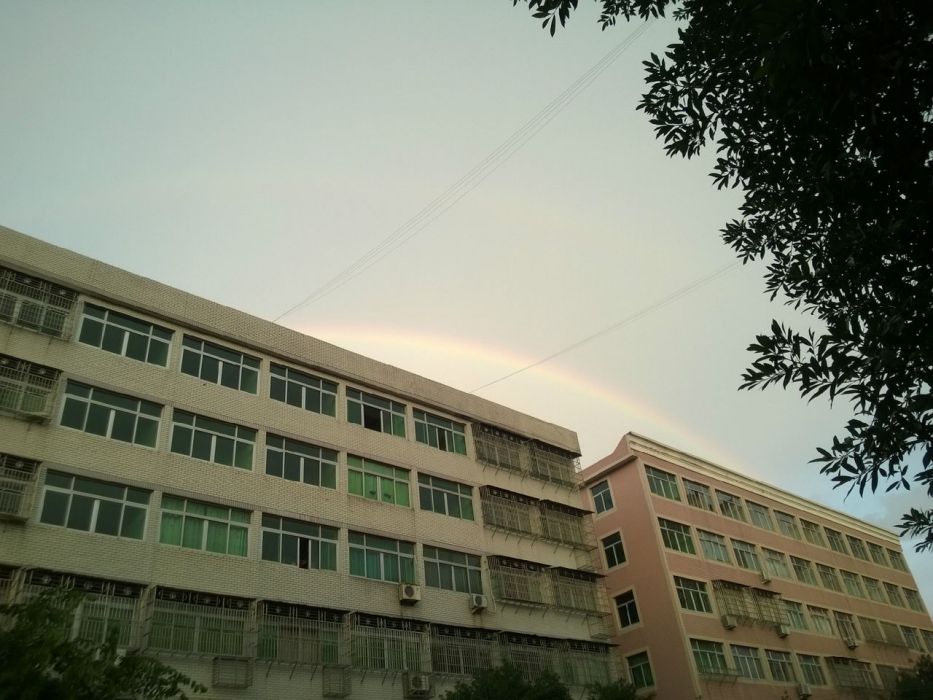 聯建房 聯建房