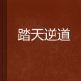 踏天逆道 踏天逆道