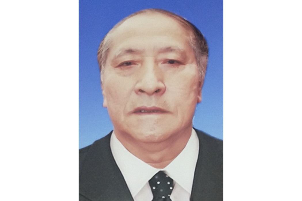 魏斌(國家一級美術師、原中國美術家協會會員) 魏斌(國家一級美術師、原中國美術家協會會員)