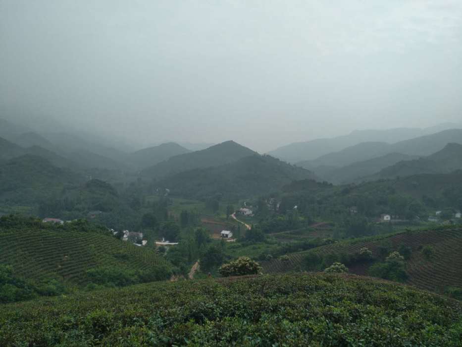 豐家沖村 豐家沖村