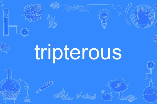 tripterous tripterous