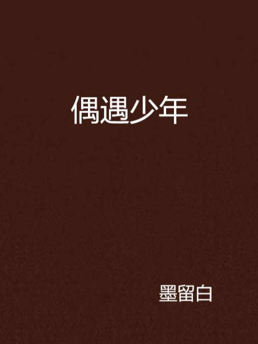 偶遇少年 偶遇少年
