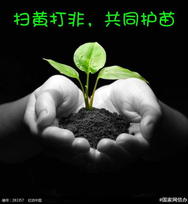 護苗2015 護苗2015