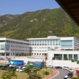 金剛大學 金剛大學