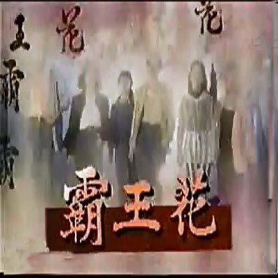 霸王花(1994年蕭薔、李賽鳳主演的台劇)