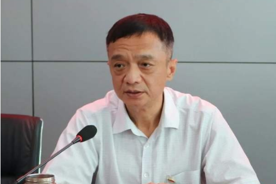 魏軍(中兵紅箭副董事長,董事) 魏軍(中兵紅箭副董事長,董事)
