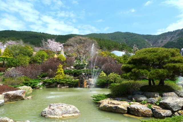 芳山林場 芳山林場
